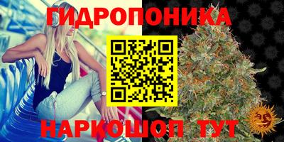 бошки Волжск